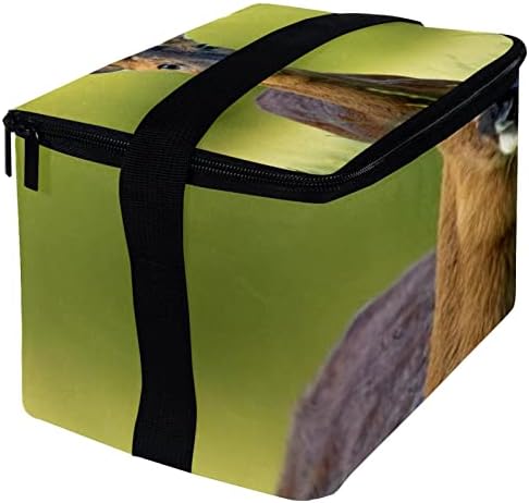 Чанта за обяд GUEROTKR за мъже, Изолиран Обяд-Бокс, Кутия за Обяд и за Възрастни, с шарките на зелената трева под формата на елен