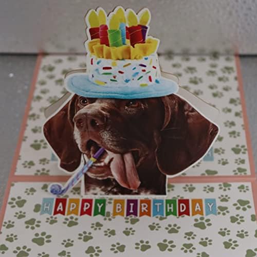 Crazytops Немска Късокосместа Куче, Пойнтер 3D Поздравителни Картички За Рожден Ден, Немска Късокосместа Куче, Пойнтер
