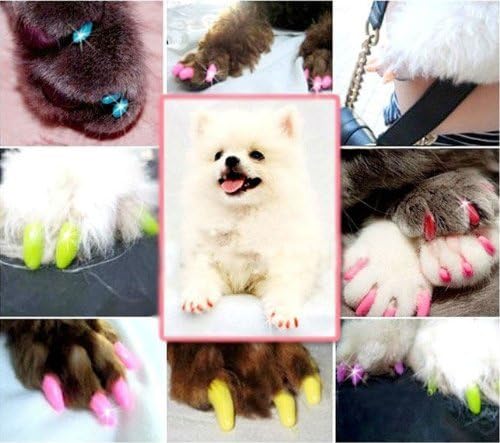 Капачки за нокти с меки нокти за домашни кучета, Размер M, цвят сребрист лъскав цвят (40шт капачки за нокти, 2 туби лепило