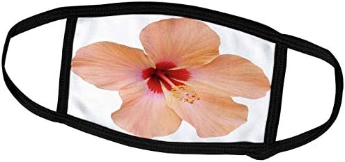 3 Роза Ан Мари Baugh - Цветя - Красиво Розово Цвете Хавайски орхидея - Маска за лице (fm_222564_2)