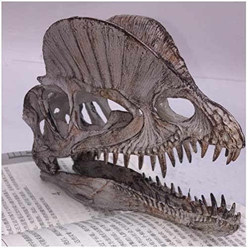 KH66ZKY Дилофозавр Реплика на черепа, модел изкопаеми черепи, модел скелет на динозавър, аквариумный украшение, начало