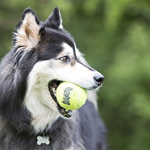 Играчка на топки за Тенис за кучета КОНГ Air Dog Squeakair, Малки, 3 опаковки