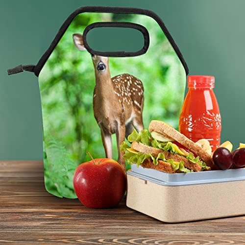 Дамски Чанта за обяд GUEROTKR, Кутия за Обяд за мъже, Дамски Кутия за Обяд, модел от зелени растения и горски елен